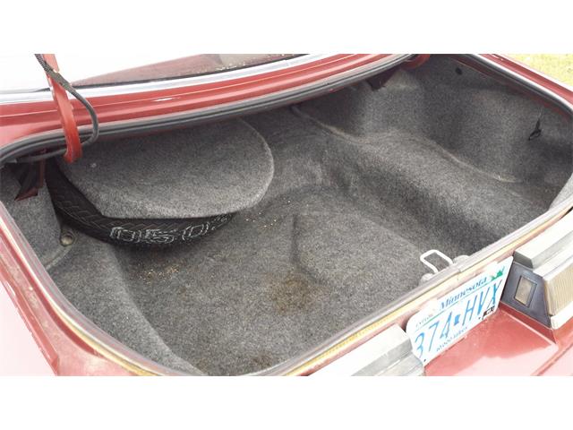1986 Ford Thunderbird (CC-1014660) for sale in Crookston, Minnesota