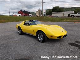 1975 Chevrolet Corvette (CC-1015724) for sale in Martinsburg, Pennsylvania