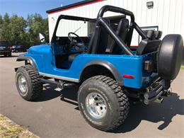 1979 Jeep CJ5 (CC-1016450) for sale in Brainerd, Minnesota