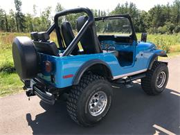 1979 Jeep CJ5 (CC-1016450) for sale in Brainerd, Minnesota