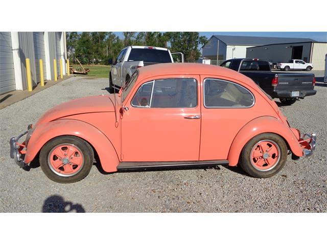 1965 Volkswagen Beetle (CC-1016523) for sale in Great Bend, Kansas