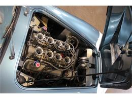 1964 Shelby 289 FIA Cobra 50th Ann. (CC-1016570) for sale in San Carlos, California