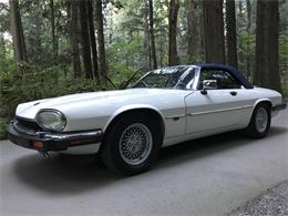 1992 Jaguar XJS (CC-1016647) for sale in Lynden, Washington