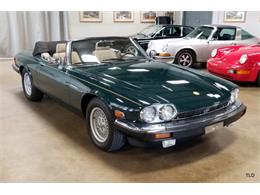 1991 Jaguar XJ (CC-1016832) for sale in Chicago, Illinois