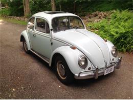 1966 Volkswagen Beetle (CC-1017317) for sale in Plymouth , Connecticut