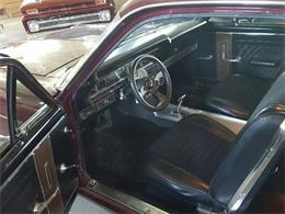 1967 Ford Fairlane 500 (CC-1017556) for sale in Woodstock, Connecticut