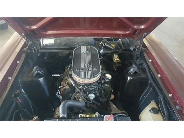 1967 Ford Fairlane 500 (CC-1017556) for sale in Woodstock, Connecticut