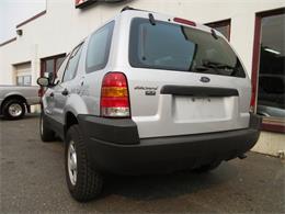 2003 Ford Escape (CC-1018560) for sale in Tocoma, Washington