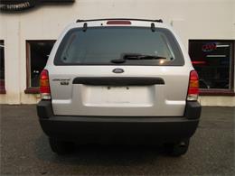 2003 Ford Escape (CC-1018560) for sale in Tocoma, Washington