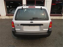2003 Ford Escape (CC-1018560) for sale in Tocoma, Washington