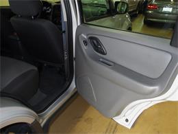 2003 Ford Escape (CC-1018560) for sale in Tocoma, Washington