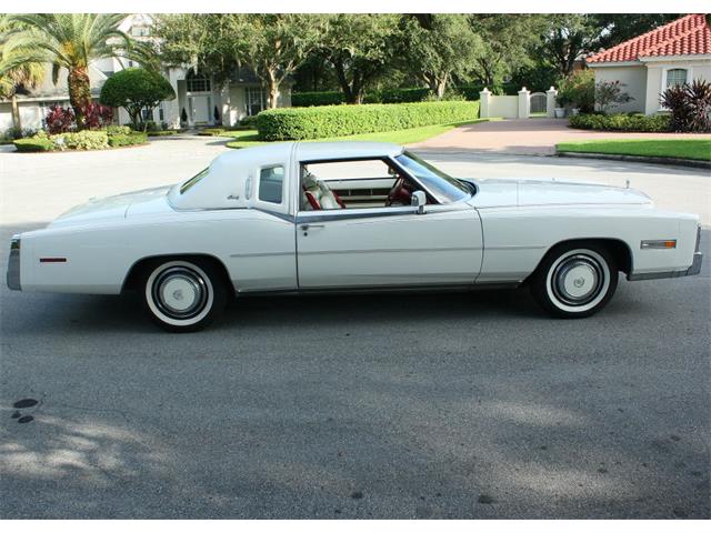 1977 Cadillac Eldorado Biarritz (CC-1019080) for sale in lakeland, Florida
