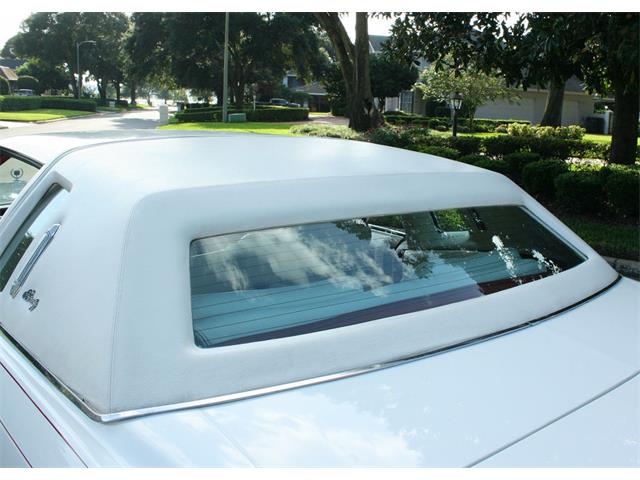 1977 Cadillac Eldorado Biarritz (CC-1019080) for sale in lakeland, Florida