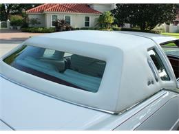 1977 Cadillac Eldorado Biarritz (CC-1019080) for sale in lakeland, Florida
