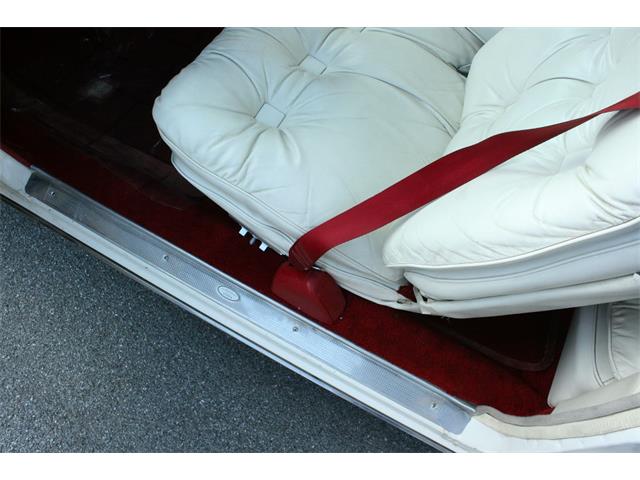 1977 Cadillac Eldorado Biarritz (CC-1019080) for sale in lakeland, Florida