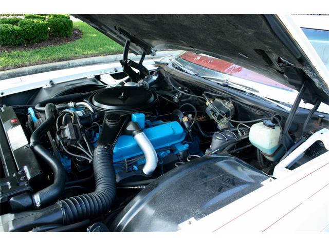 1977 Cadillac Eldorado Biarritz (CC-1019080) for sale in lakeland, Florida