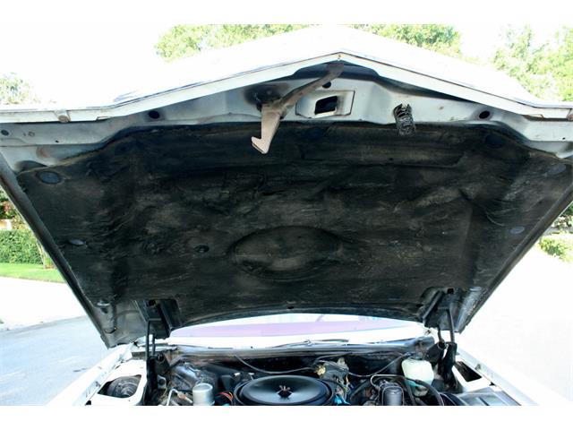 1977 Cadillac Eldorado Biarritz (CC-1019080) for sale in lakeland, Florida