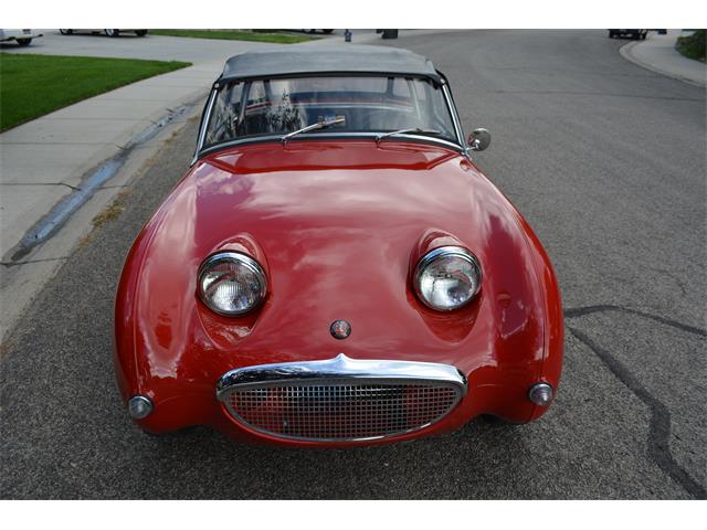 1959 Austin-Healey Sprite (CC-1019102) for sale in Meridian, Idaho