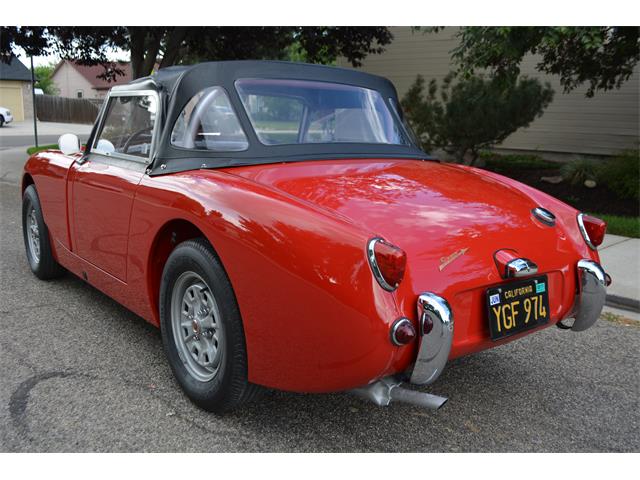 1959 Austin-Healey Sprite (CC-1019102) for sale in Meridian, Idaho
