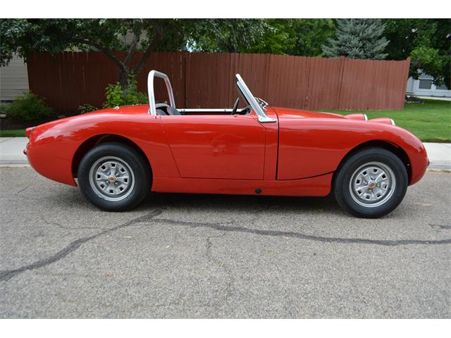 1959 Austin-Healey Sprite (CC-1019102) for sale in Meridian, Idaho