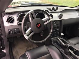 2006 Ford Mustang Saleen S281 Supercharged (CC-1019305) for sale in Online, 