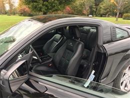 2006 Ford Mustang Saleen S281 Supercharged (CC-1019305) for sale in Online, 