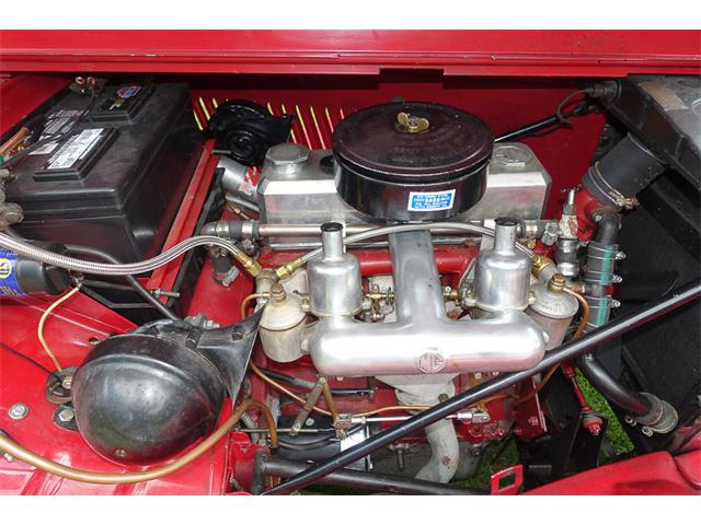 1953 MG TD (CC-1021166) for sale in Califon, New Jersey