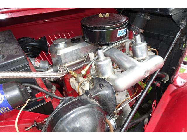 1953 MG TD (CC-1021166) for sale in Califon, New Jersey