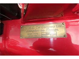 1953 MG TD (CC-1021166) for sale in Califon, New Jersey