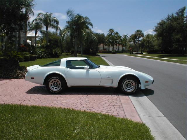 1979 Chevrolet Corvette (CC-1021196) for sale in Online Auction, 