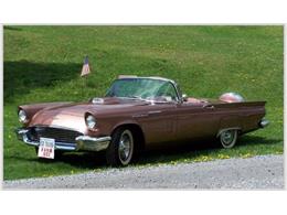 1957 Ford Thunderbird (CC-1021325) for sale in Online Auction, 