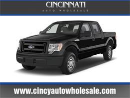 2013 Ford F150 (CC-1022065) for sale in Loveland, Ohio