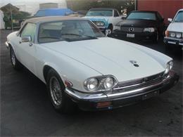1990 Jaguar XJ8 (CC-1022162) for sale in Los Angeles, California