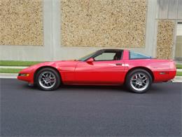 1994 Chevrolet Corvette (CC-1022163) for sale in Linthicum, Maryland