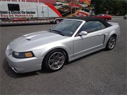 2003 Ford Mustang Cobra (CC-1022301) for sale in MILL HALL, Pennsylvania
