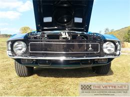 1969 Ford Mustang Shelby GT500 (CC-1022473) for sale in Sarasota, Florida