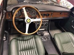 1967 Ferrari 330 GTS (CC-1022530) for sale in Astoria, New York