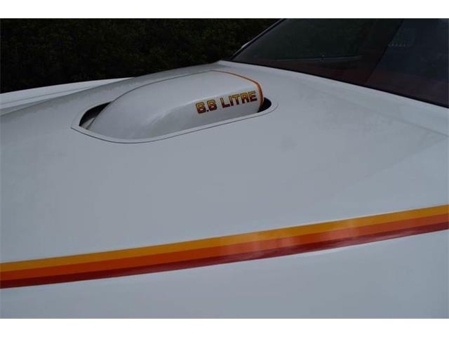 1977 Pontiac LeMans (CC-1022825) for sale in Orlando, Florida