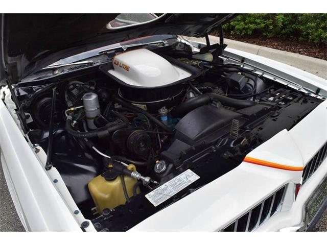 1977 Pontiac LeMans (CC-1022825) for sale in Orlando, Florida