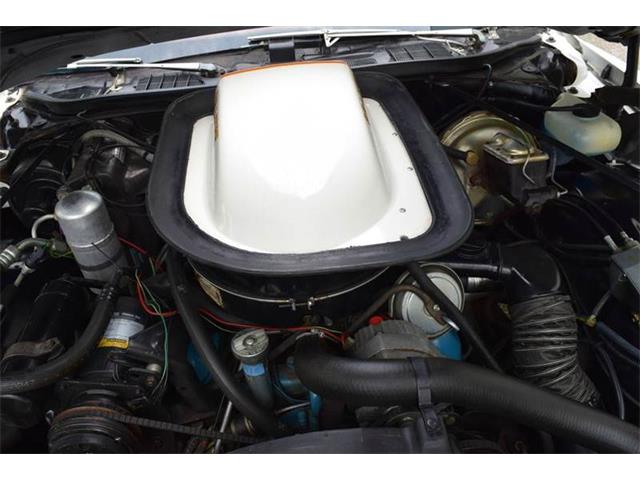 1977 Pontiac LeMans (CC-1022825) for sale in Orlando, Florida
