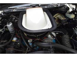 1977 Pontiac LeMans (CC-1022825) for sale in Orlando, Florida