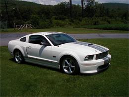 2007 Shelby Mustang (CC-1022999) for sale in Carlisle, Pennsylvania