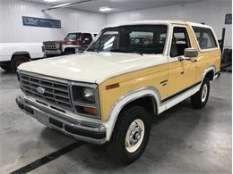 1982 Ford Bronco (CC-1023213) for sale in Holland , Michigan