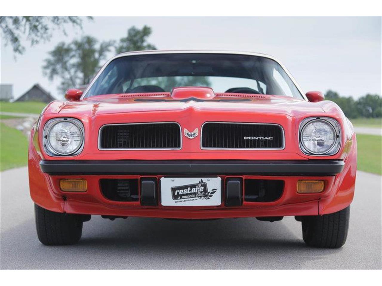 1974 Pontiac Firebird Trans Am For Sale 