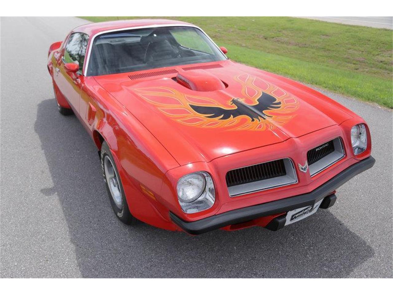 1974 Pontiac Firebird Trans Am for Sale | ClassicCars.com | CC-1023745