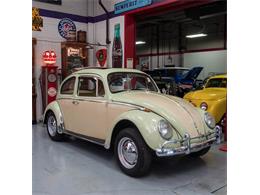 1966 Volkswagen Beetle (CC-1024276) for sale in St. Louis, Missouri