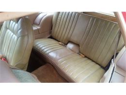 1978 AMC Pacer (CC-1024671) for sale in San Luis Obispo, California