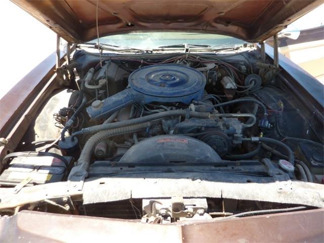 1976 Ford Ranchero (CC-1025262) for sale in Ontario, California