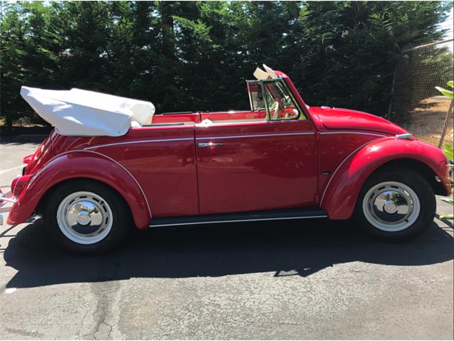 1967 Volkswagen Convertible (CC-1025464) for sale in Tacoma , Washington