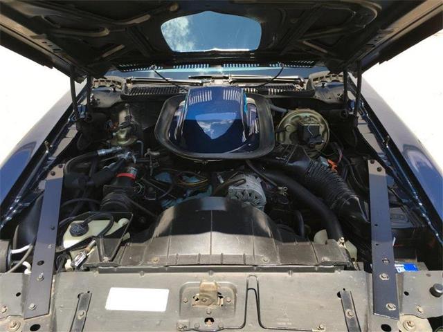 1974 Pontiac Firebird Formula (CC-1020576) for sale in Dundas, Ontario